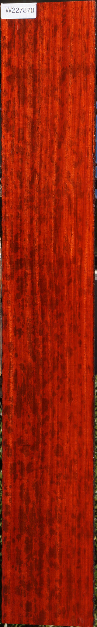 Extra Fancy Padauk Lumber