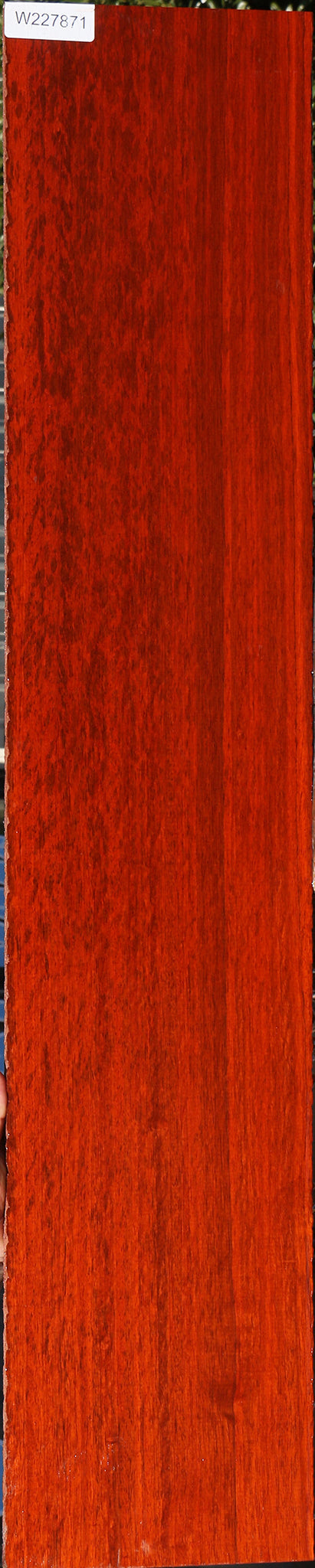 Extra Fancy Padauk Lumber