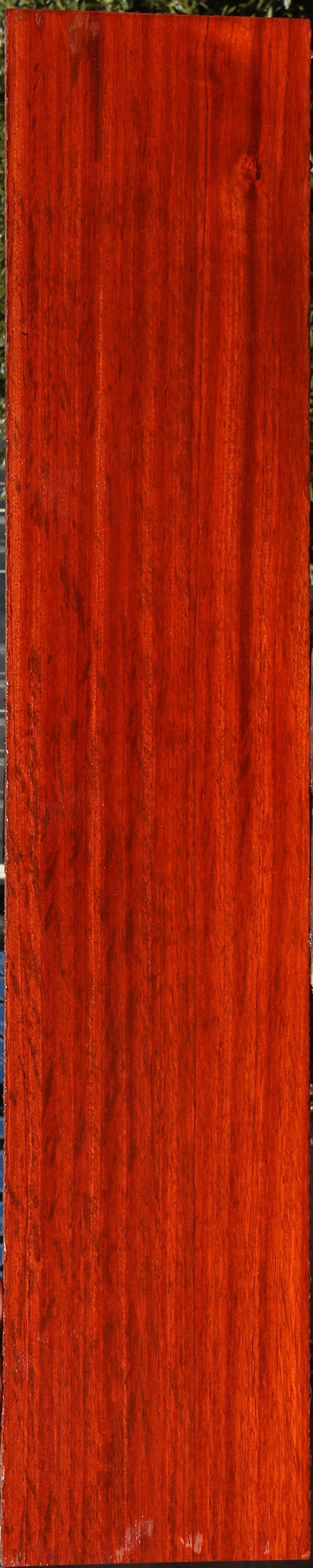 Extra Fancy Padauk Lumber