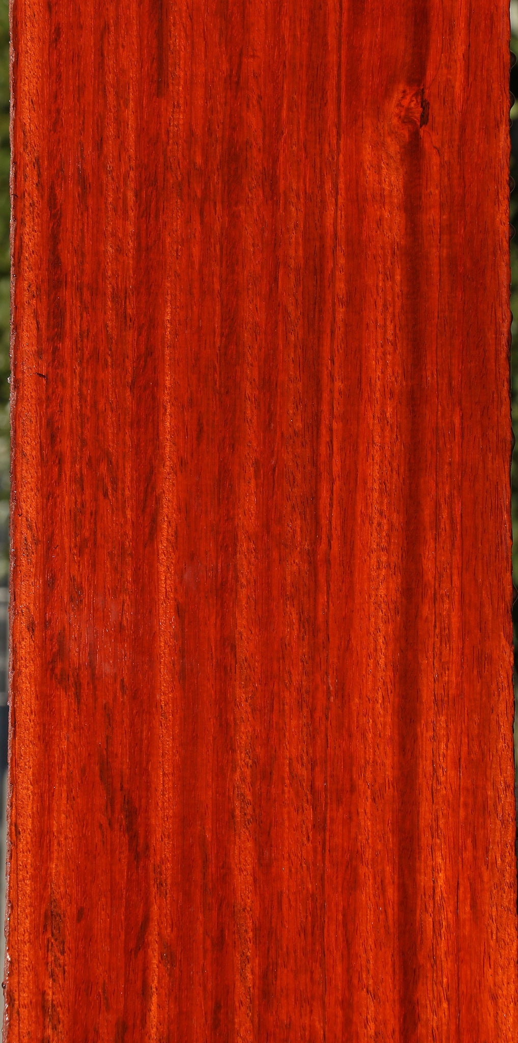Extra Fancy Padauk Lumber