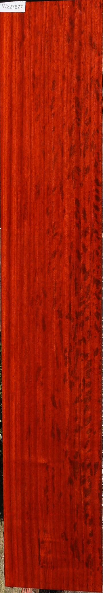 Extra Fancy Padauk Lumber
