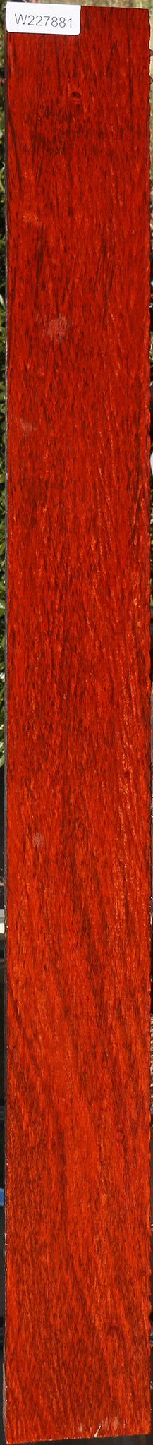 Extra Fancy Padauk Lumber
