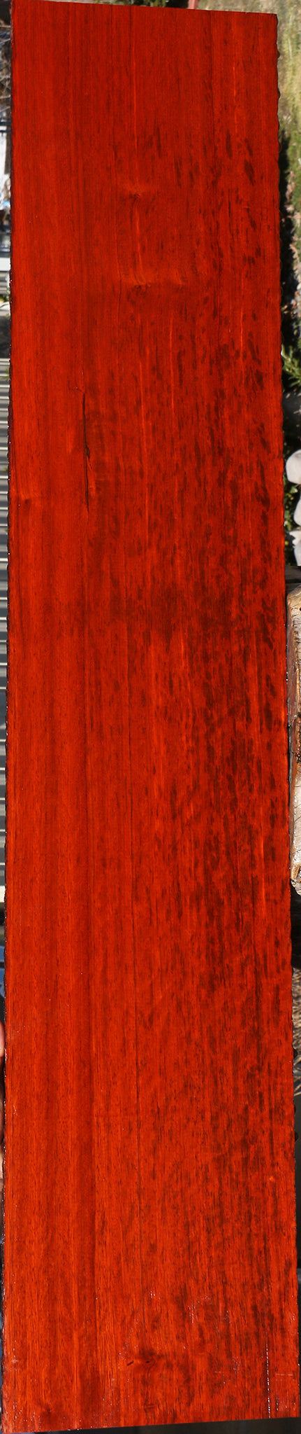 Extra Fancy Padauk Lumber