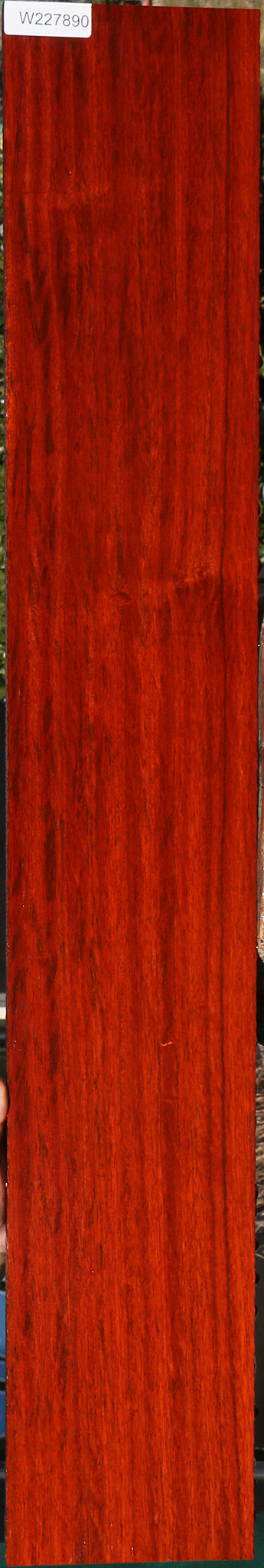 Exhibition Padauk Lumber