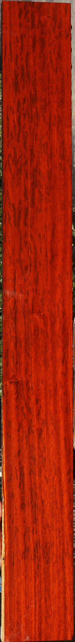 Extra Fancy Padauk Lumber