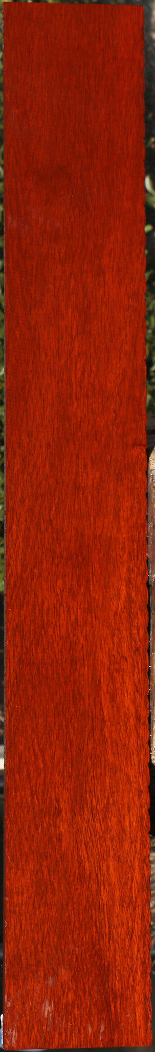 Extra Fancy Padauk Lumber