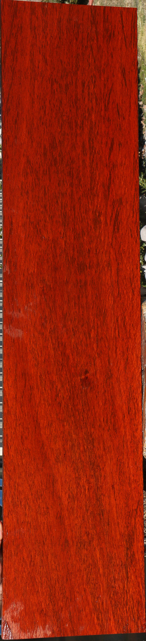 Exhibition Padauk Lumber