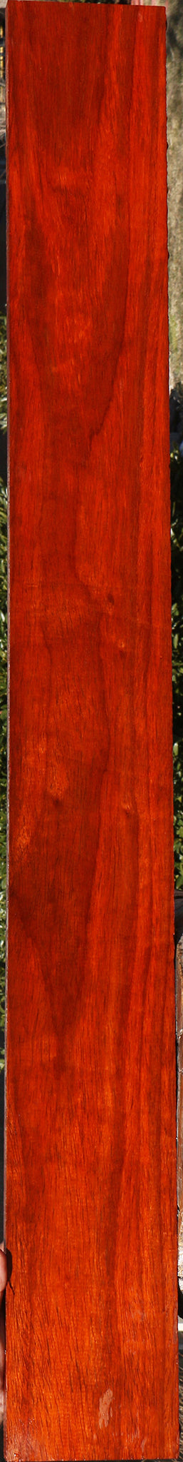 Figured Padauk Lumber