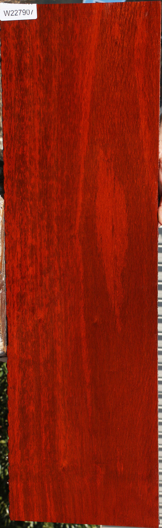 Padauk Lumber