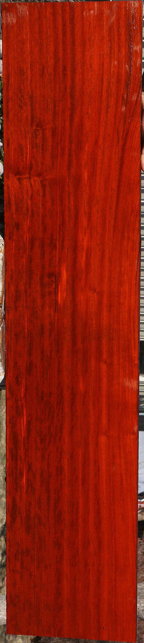 Extra Fancy Padauk Lumber