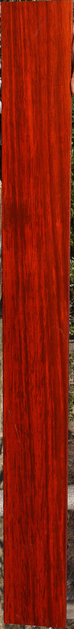 Figured Padauk Lumber