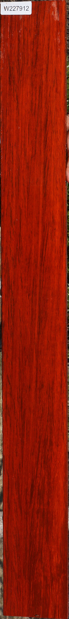 Figured Padauk Lumber