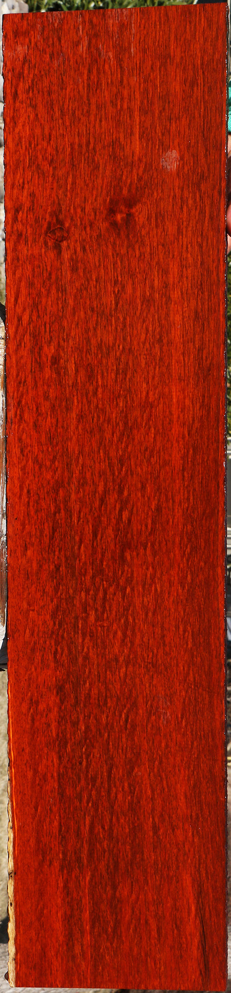 Extra Fancy Padauk Lumber