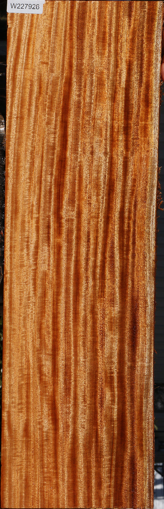 Extra Fancy Quilted African Mahogany Instrument Lumber