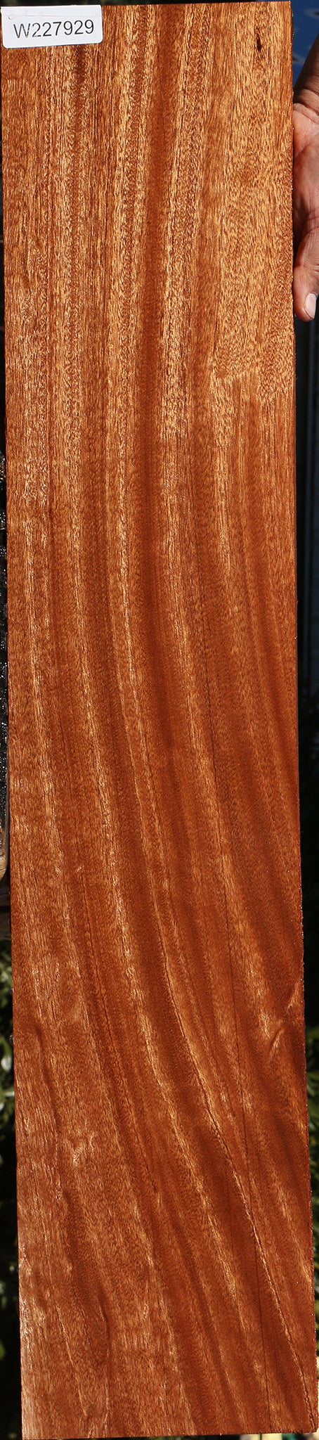 Figured African Mahogany Lumber