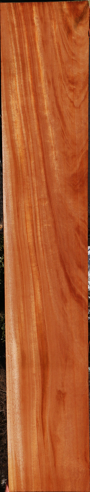 Figured African Mahogany Lumber (Free Shipping Excluded)