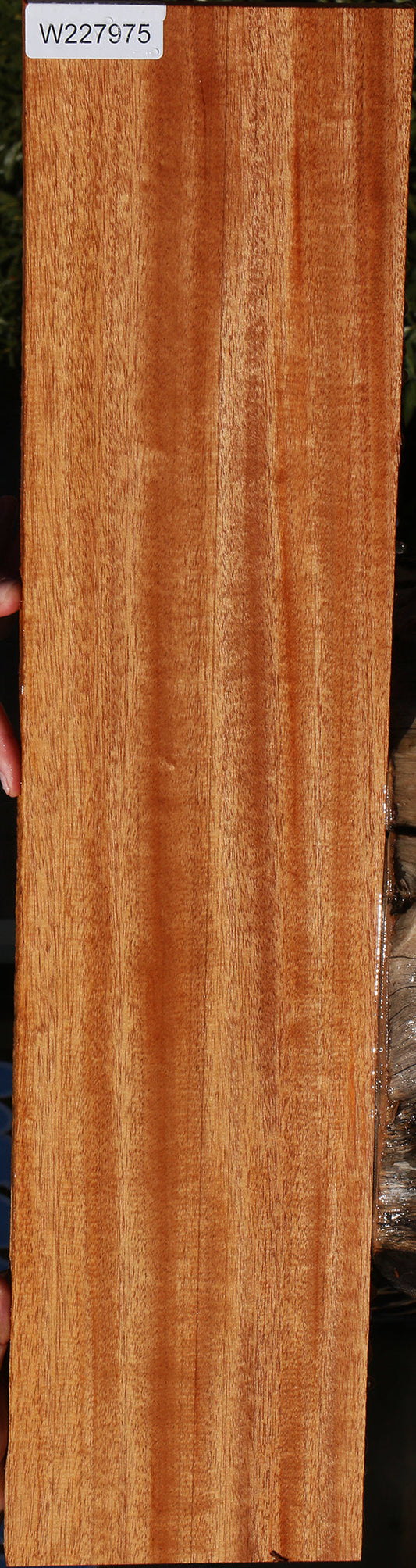Figured African Mahogany Lumber