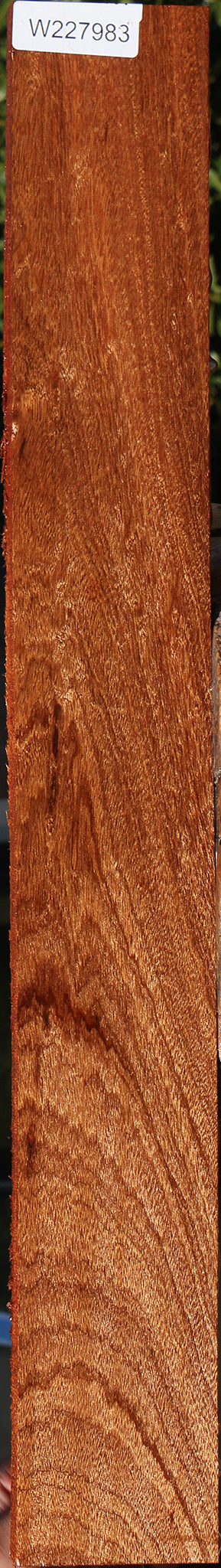 Figured African Mahogany Lumber