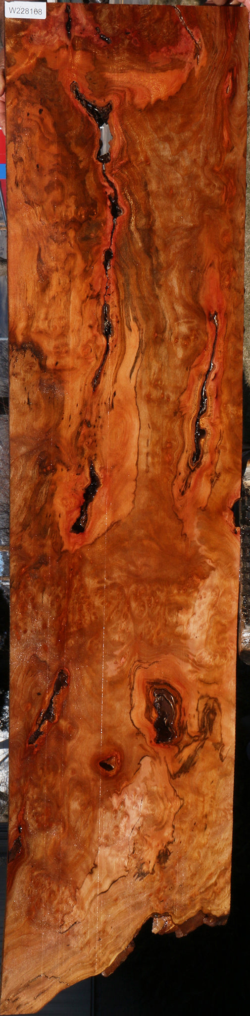 Rustic Sycamore Burl Lumber