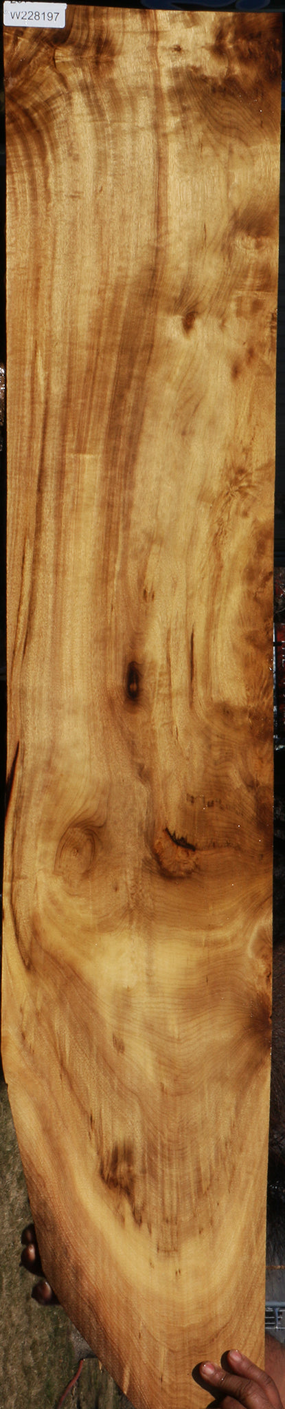 Extra Fancy Myrtle Micro Lumber