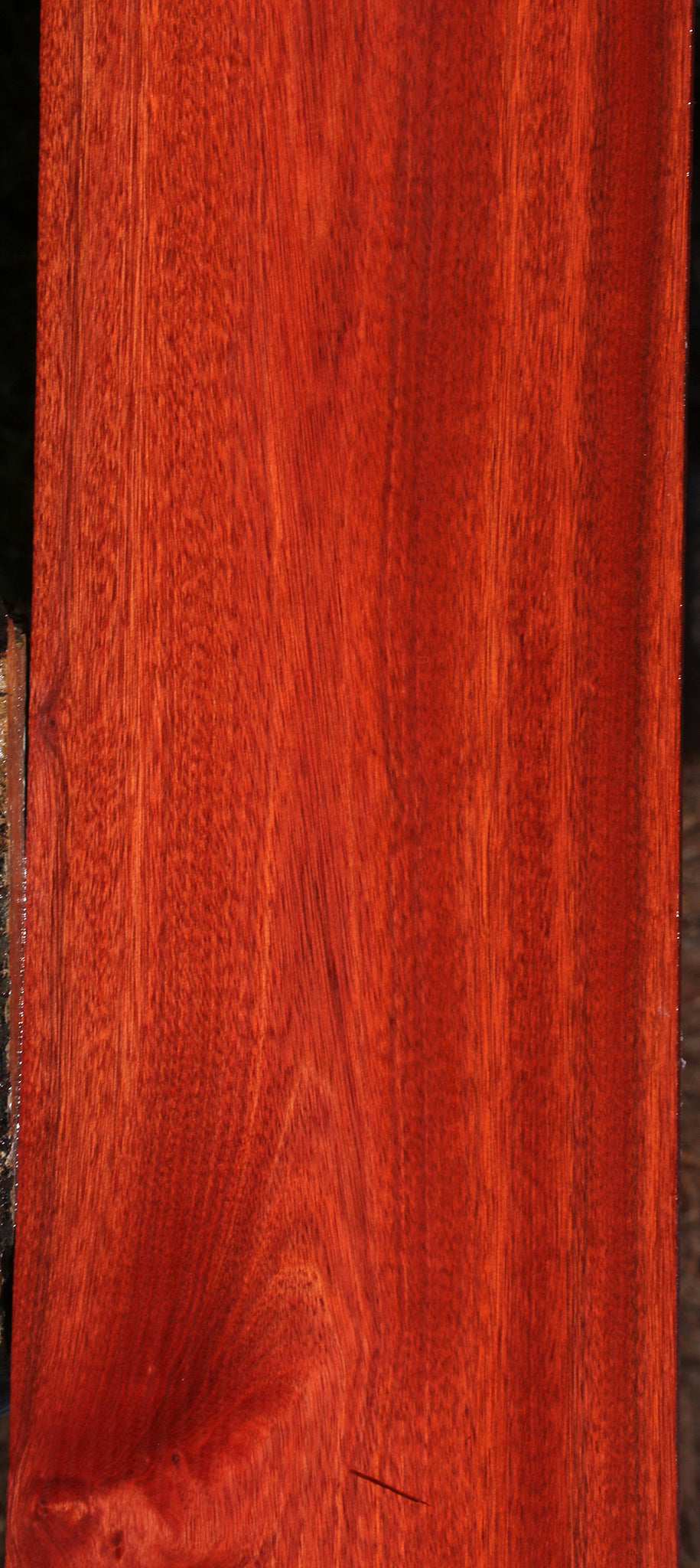 Bloodwood Lumber