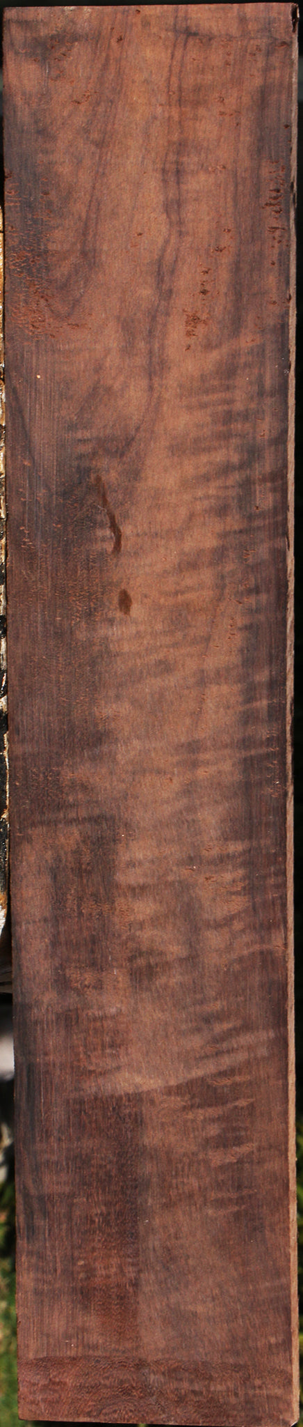 Extra Fancy Katalox Lumber