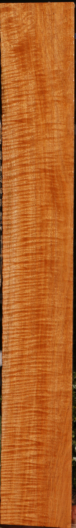 Fiddleback Honduras Mahogany Lumber