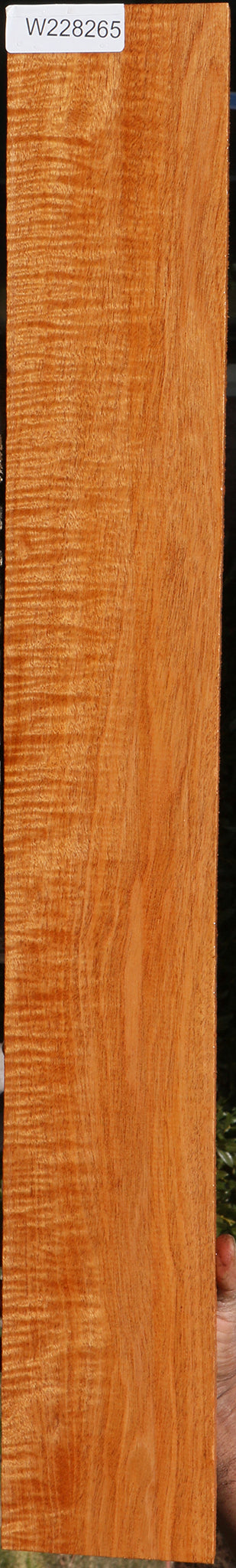 Fiddleback Honduras Mahogany Lumber