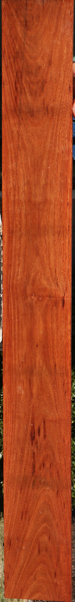 Curatinga Lumber