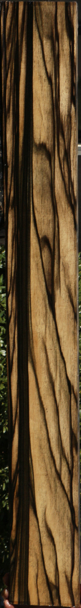 Black & White Ebony Instrument Billet