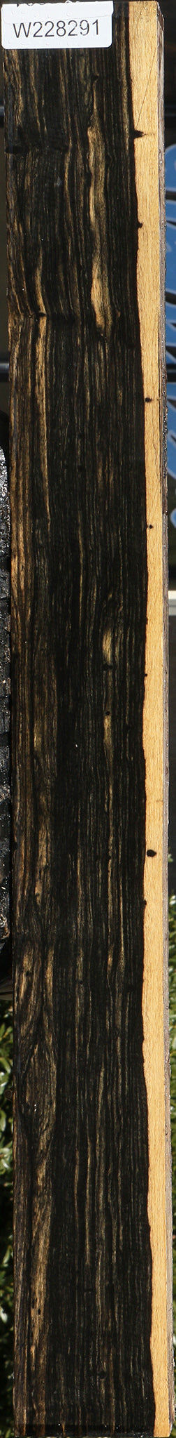 Black & White Ebony Lumber