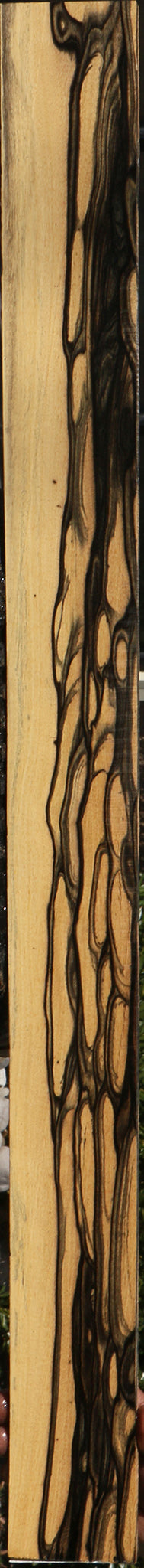 Extra Fancy Black & White Ebony Micro Lumber