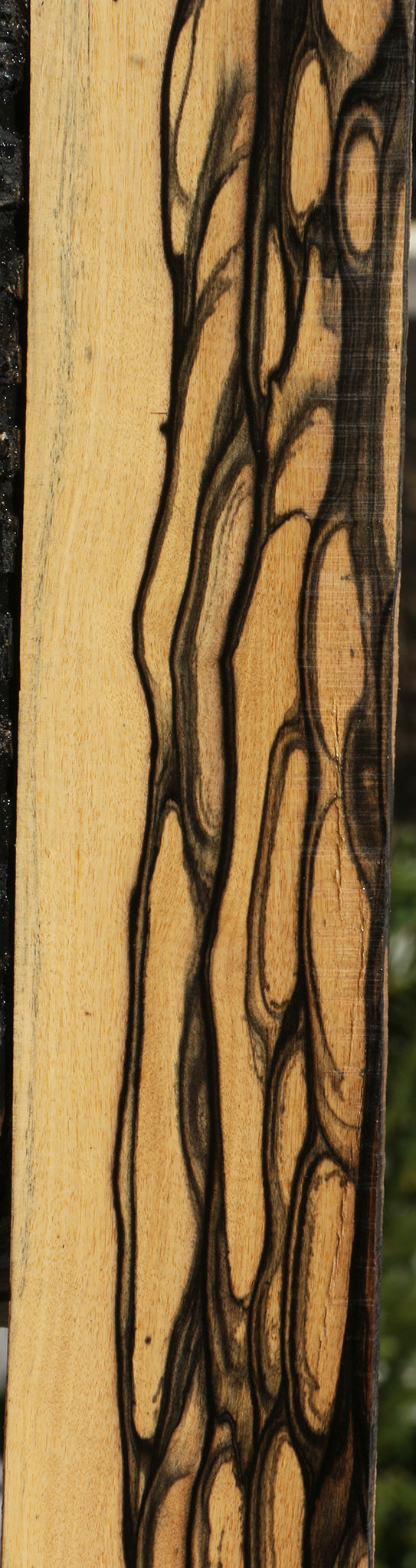 Extra Fancy Black & White Ebony Micro Lumber