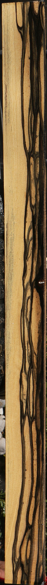 Extra Fancy Black & White Ebony Lumber