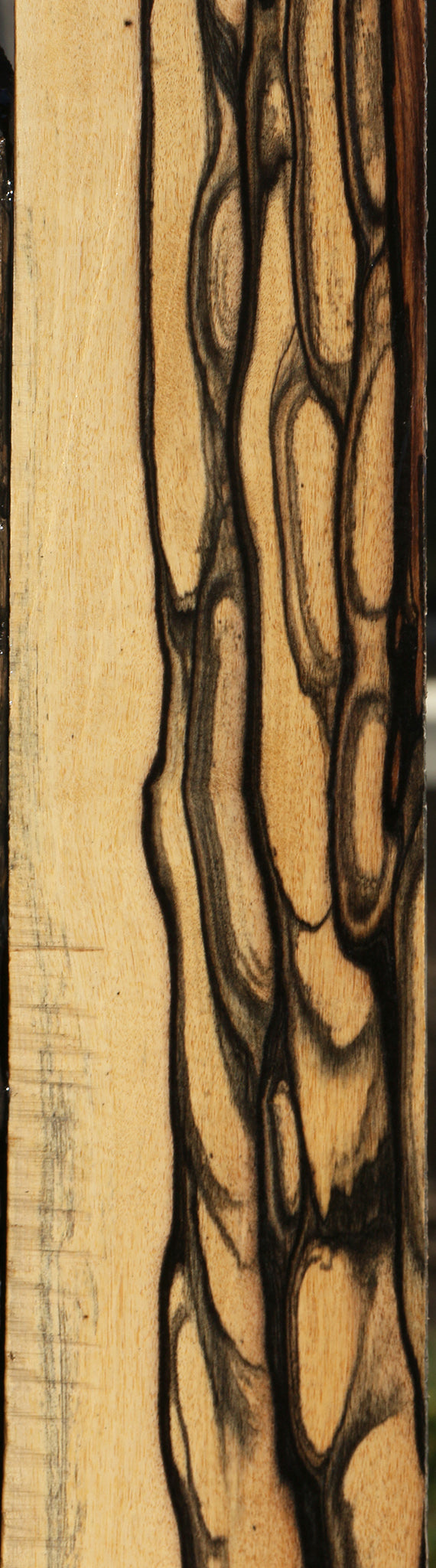 Extra Fancy Black & White Ebony Micro Lumber