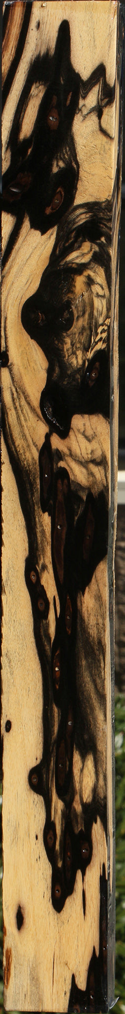 Extra Fancy Black & White Ebony Lumber