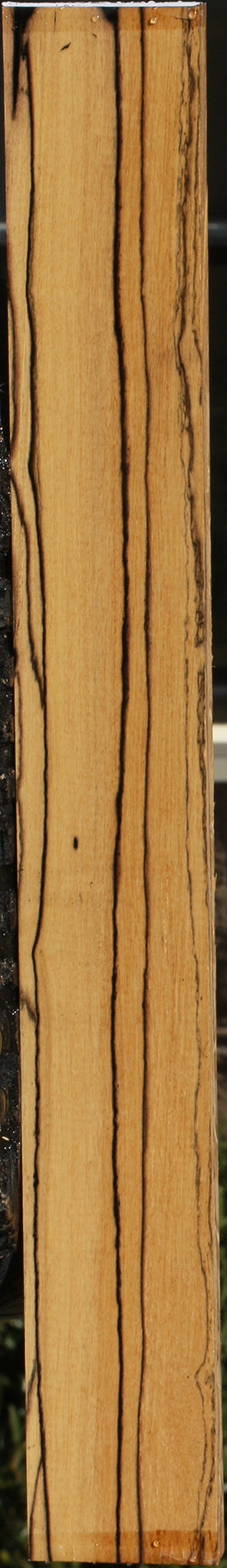 Black & White Ebony Instrument Lumber