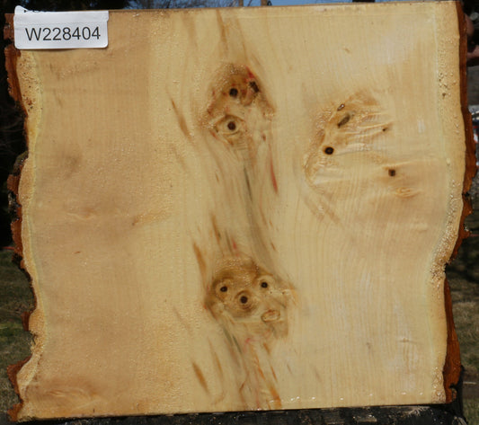 Box Elder Live Edge Bowl Blank