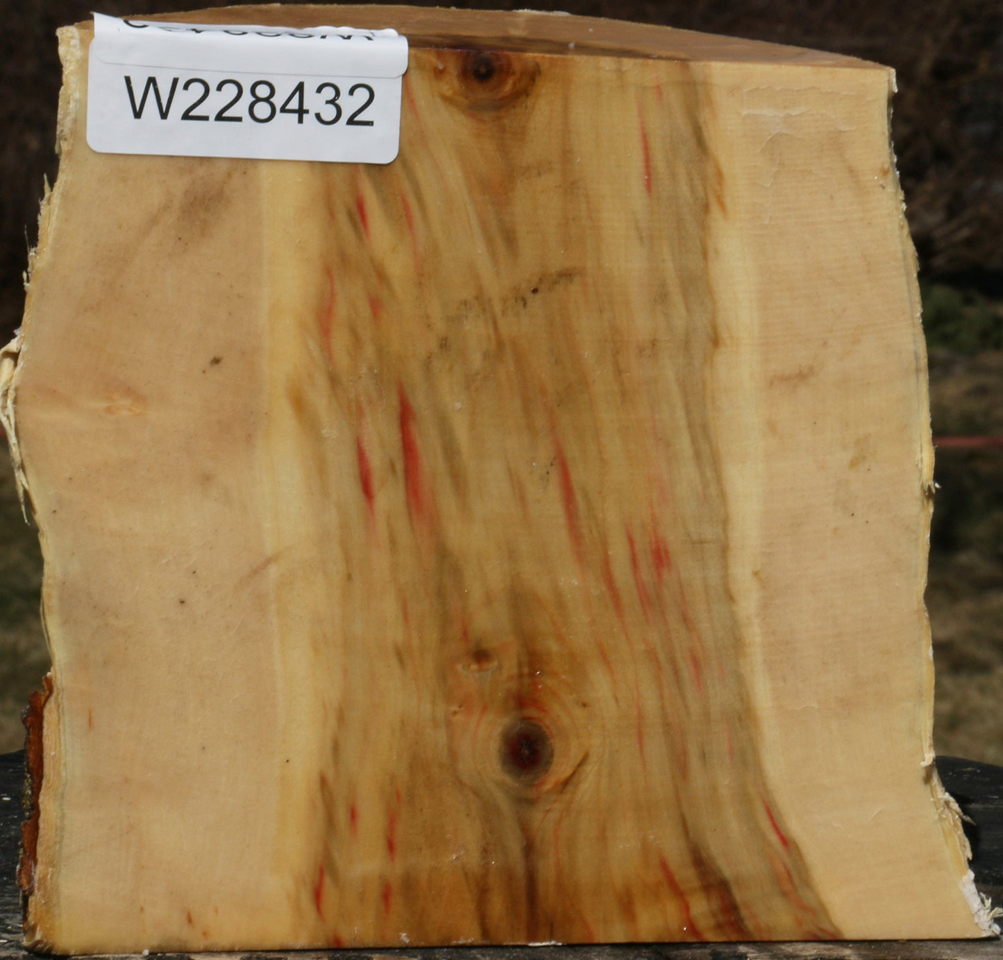 Figured Box Elder Live Edge Bowl Blank