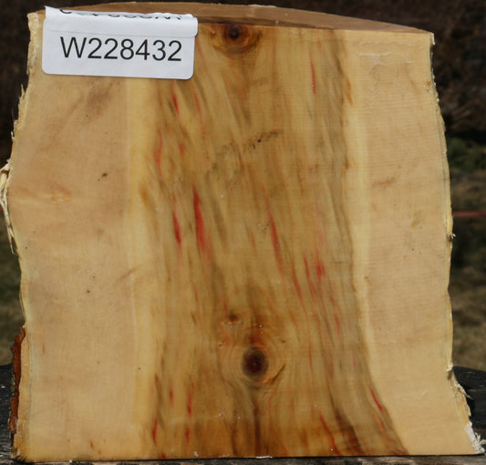 Figured Box Elder Live Edge Bowl Blank