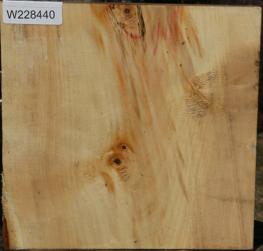 Figured Box Elder Live Edge Bowl Blank