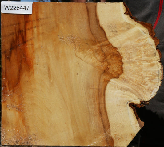 Extra Fancy Box Elder Live Edge Bowl Blank