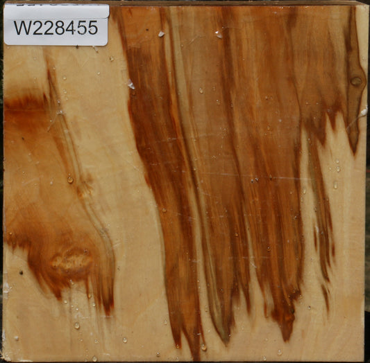 Extra Fancy Box Elder Bowl Blank