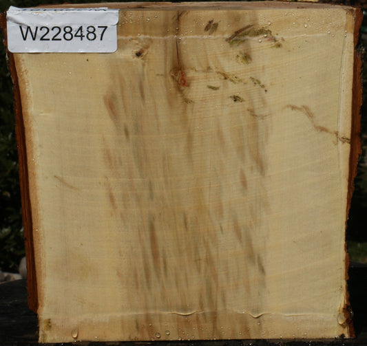 Box Elder Half Log