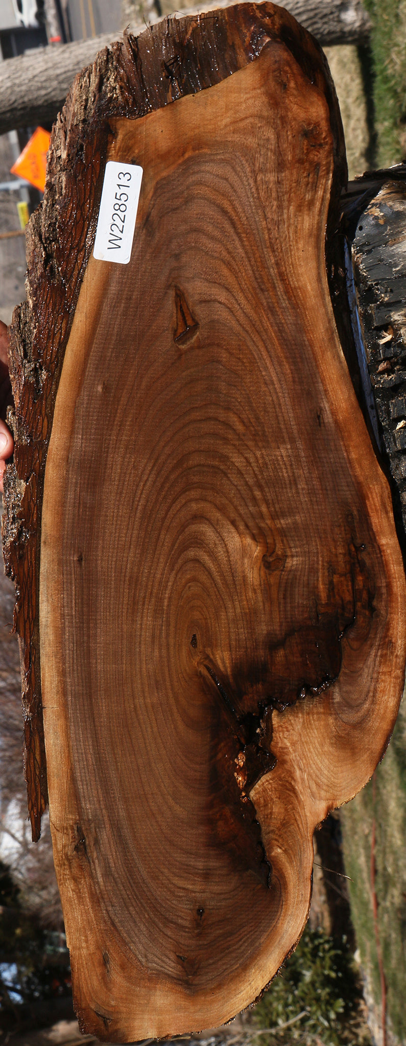 Eastern Walnut Cookie