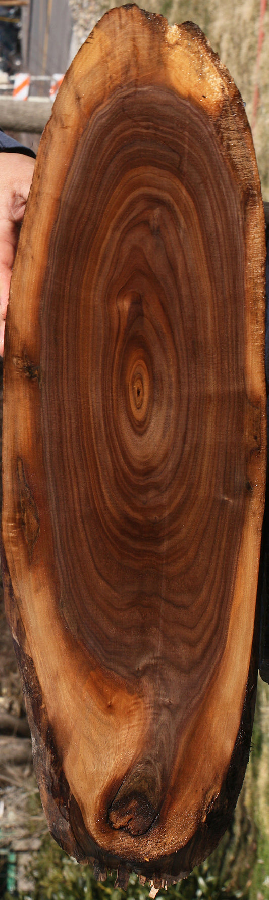 Eastern Walnut Cookie