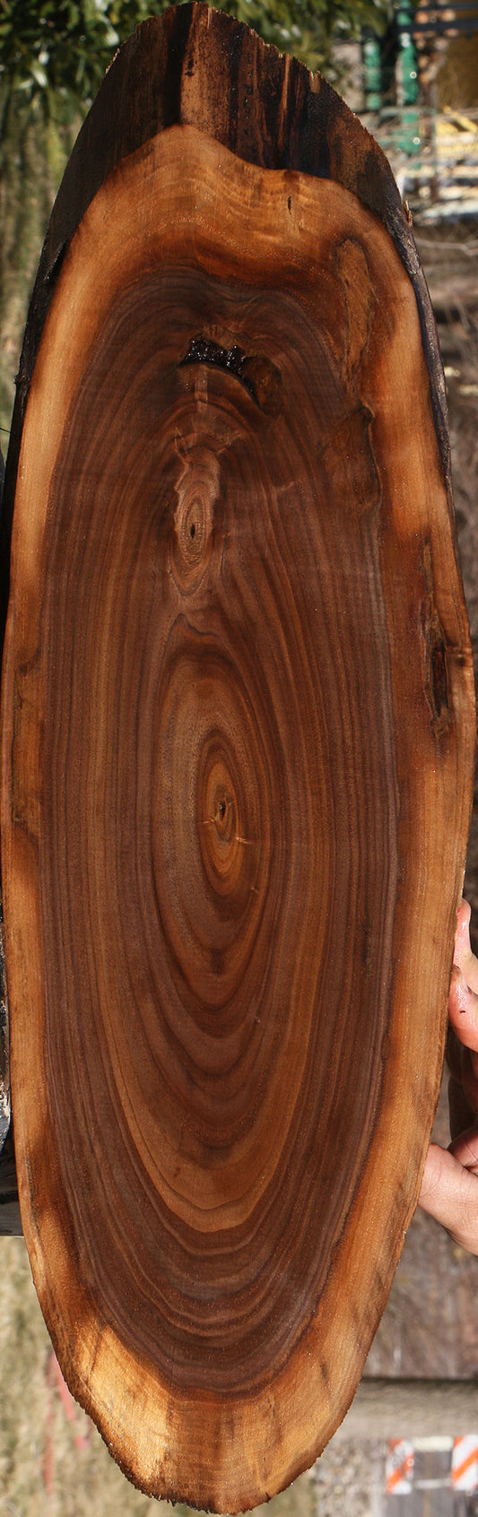 Eastern Walnut Cookie