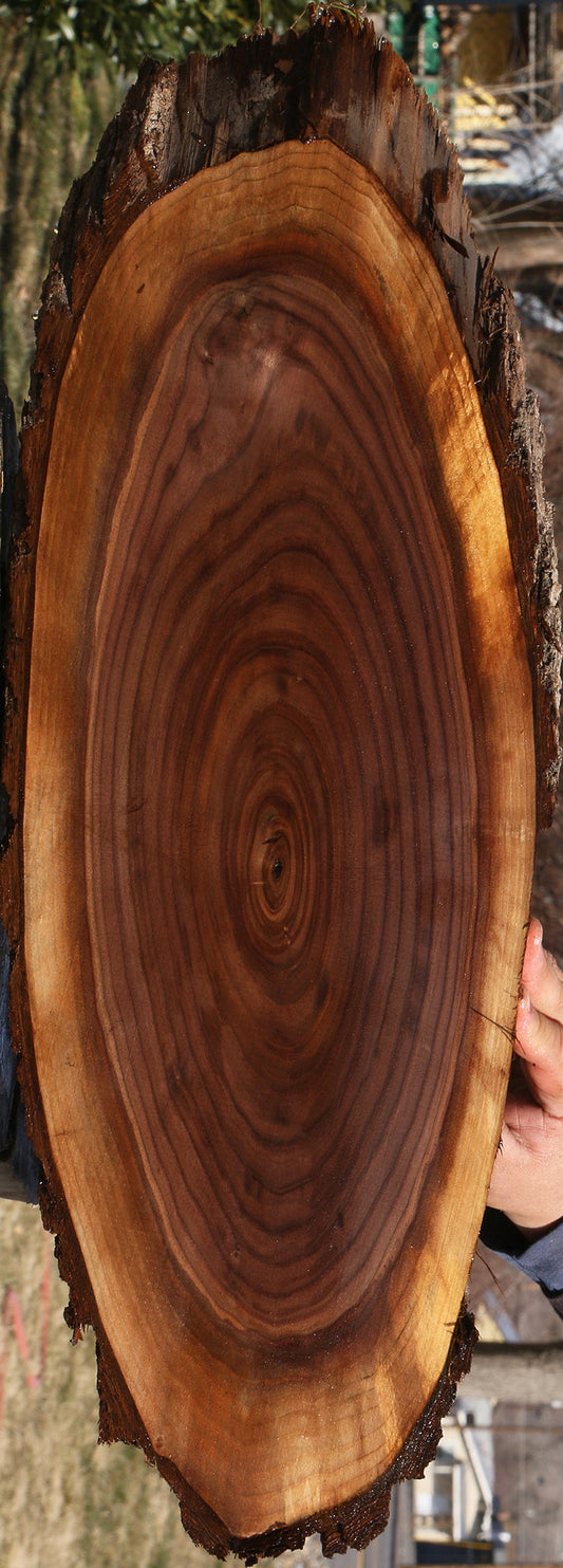 Eastern Walnut Cookie