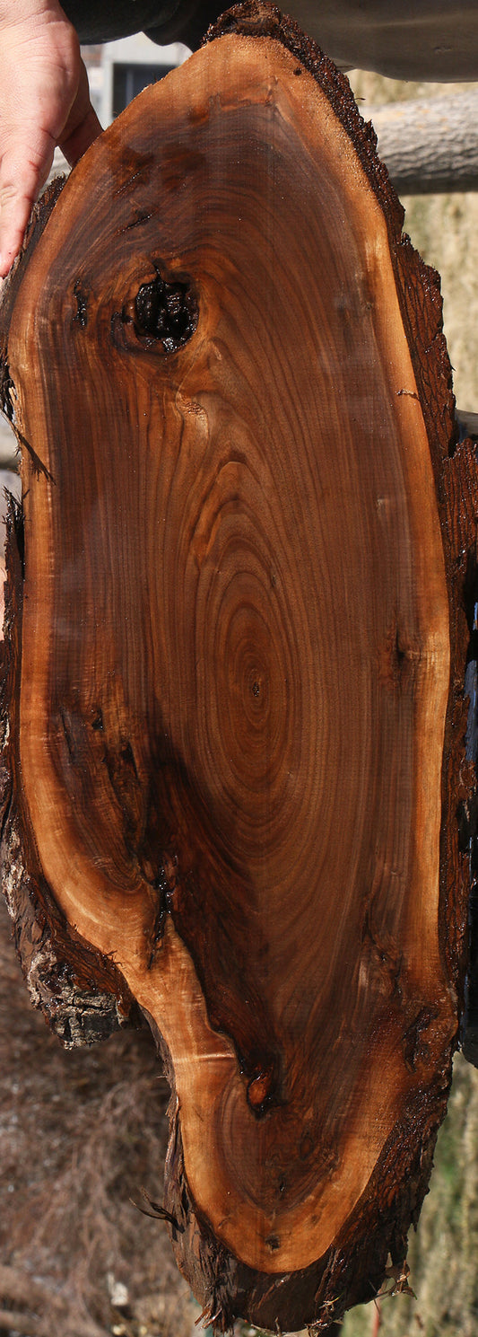 Eastern Walnut Cookie