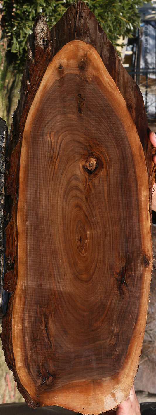 Eastern Walnut Cookie